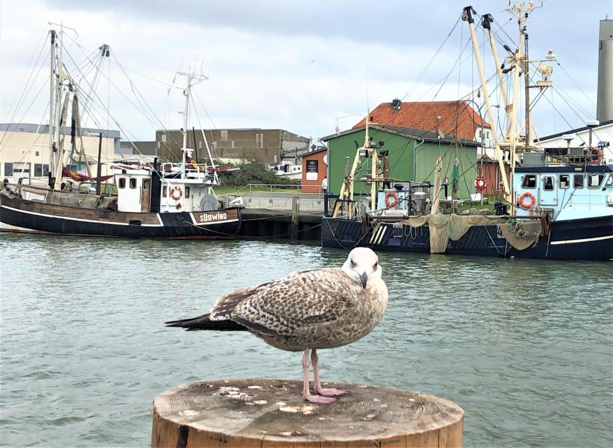 Kutterbude Buesum - Bude I Exteriér fotografie